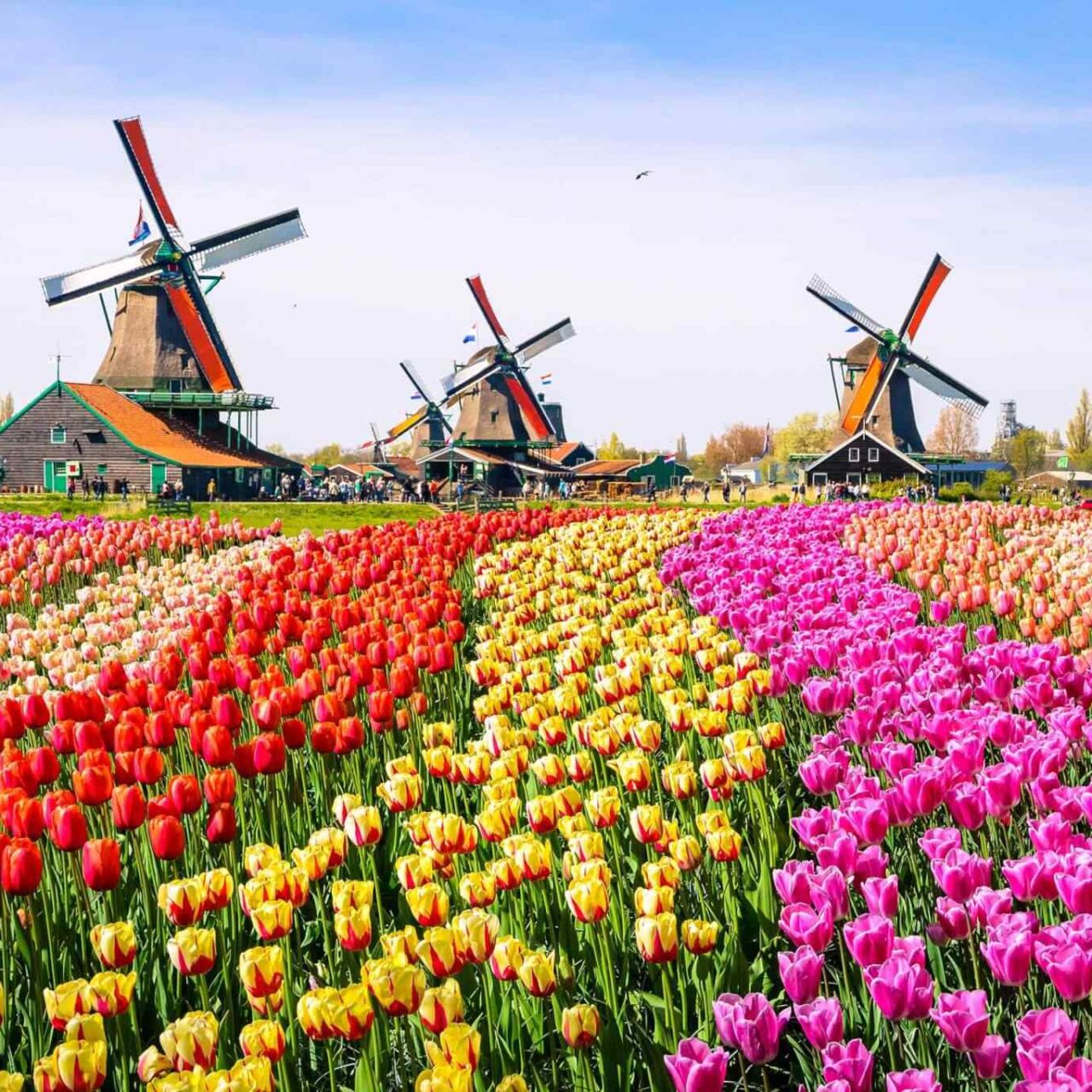 https://atouraja.com/wp-content/uploads/2018/09/destination-netherlands-01-1280x1280.jpg
