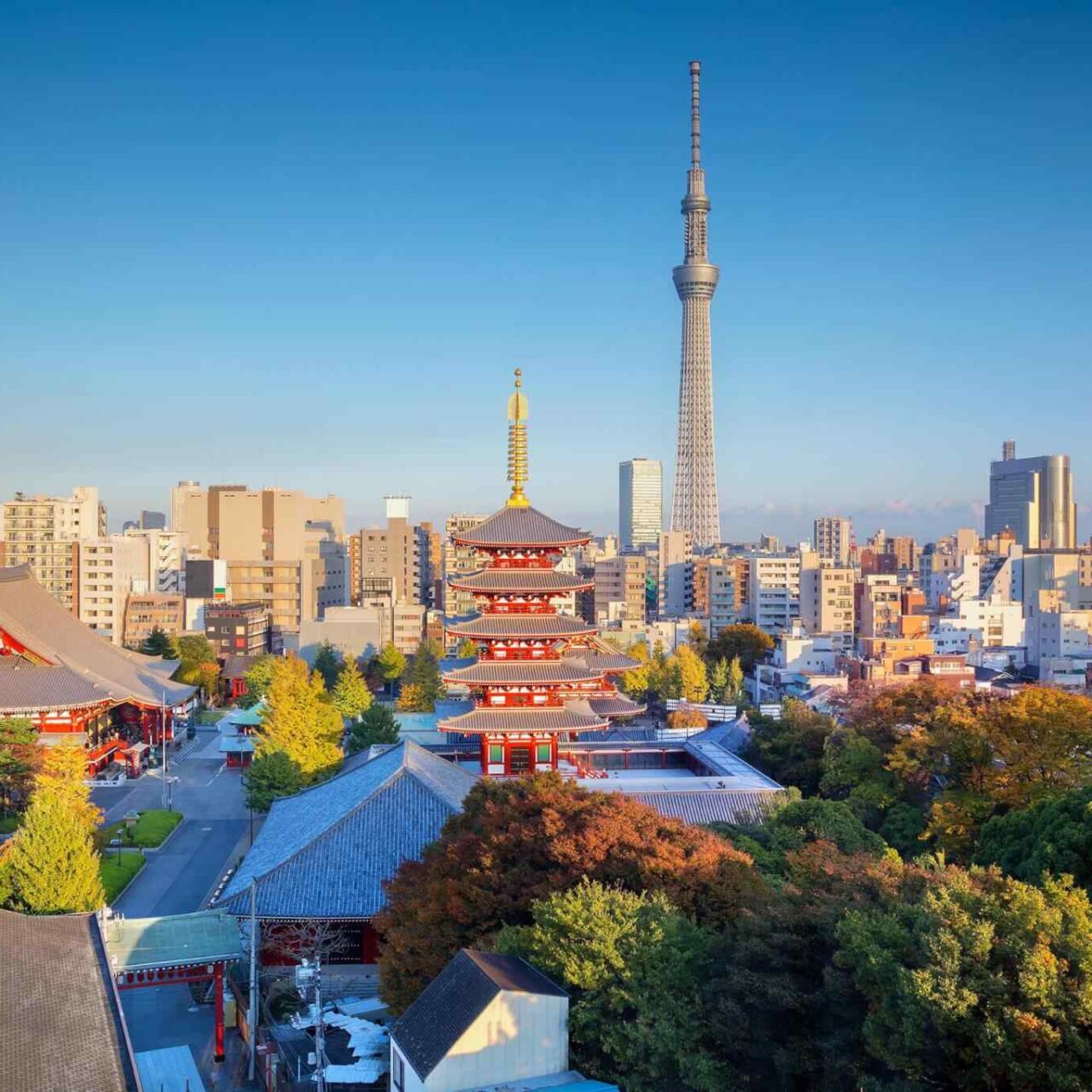 https://atouraja.com/wp-content/uploads/2018/09/destination-tokyo-04-1280x1280.jpg