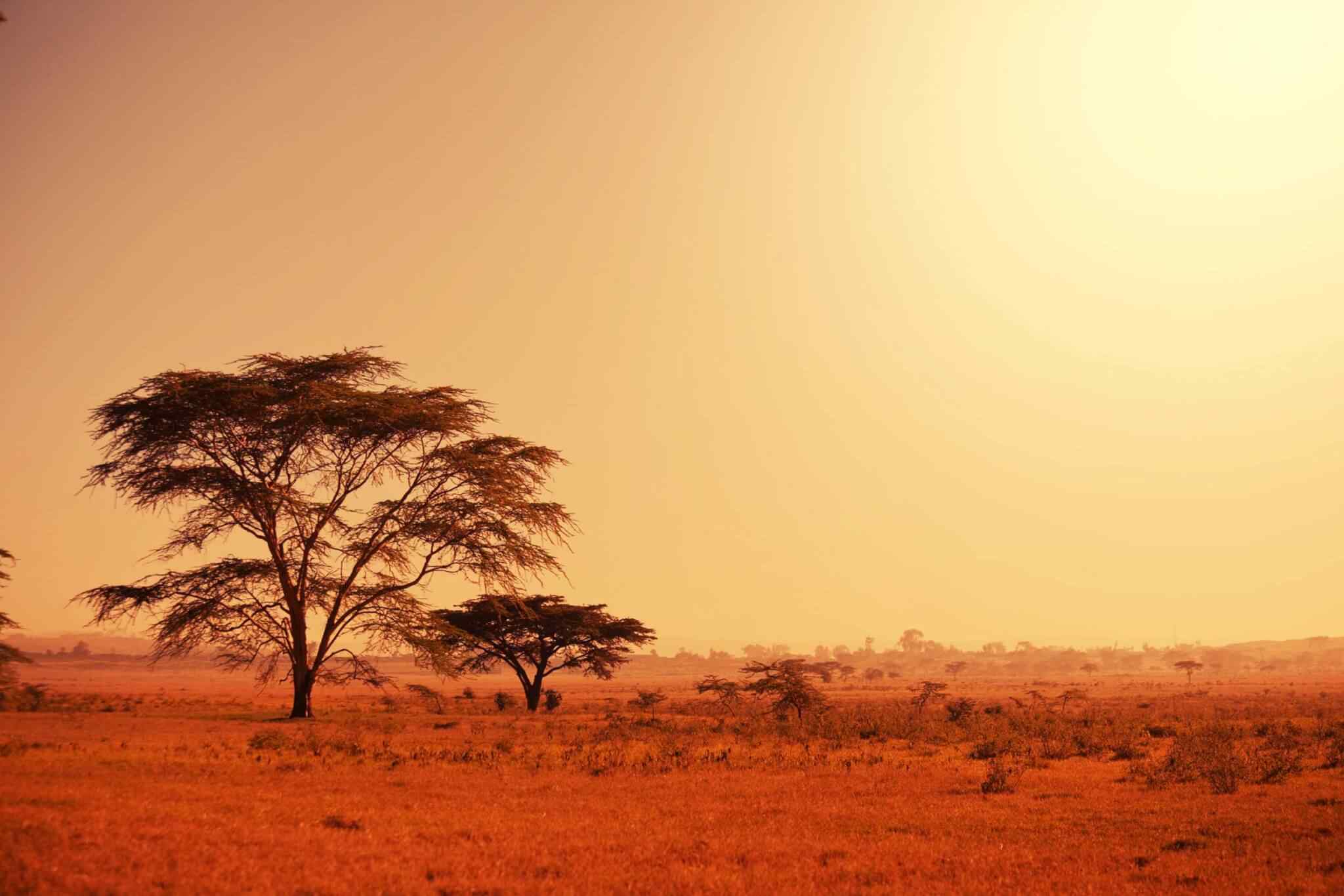 https://atouraja.com/wp-content/uploads/2018/09/tour-africa-02.jpg